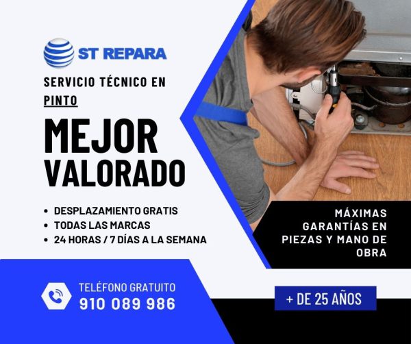 reparacion electrodomesticos pinto